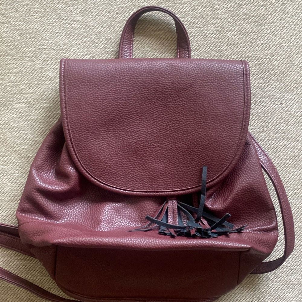 Express backpack purse